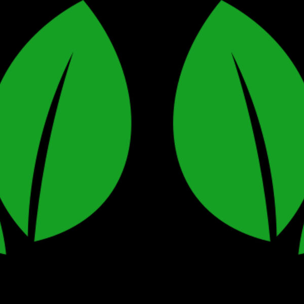 11 Leaves Thumbnail