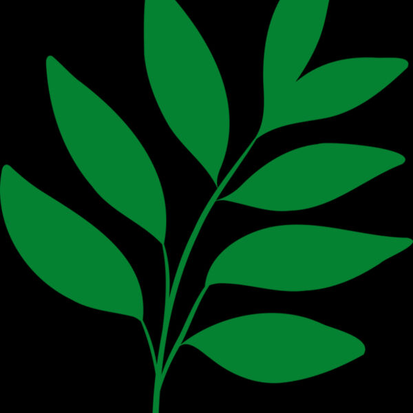 17 Leaves Thumbnail