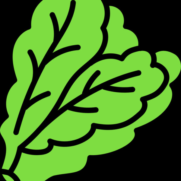 Lettuce Thumbnail
