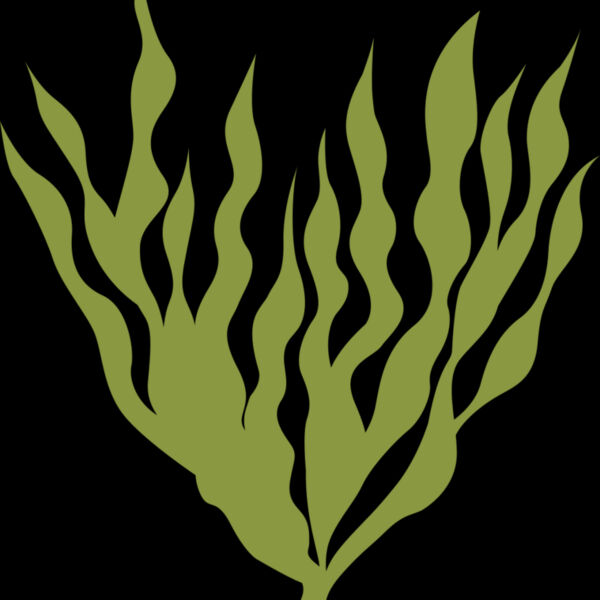 Sea Plants 5 Thumbnail