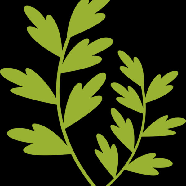 Leaves 11 Thumbnail